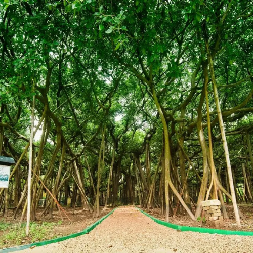 Botanical Garden